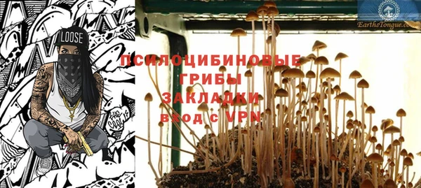 молекула духа Кукмор
