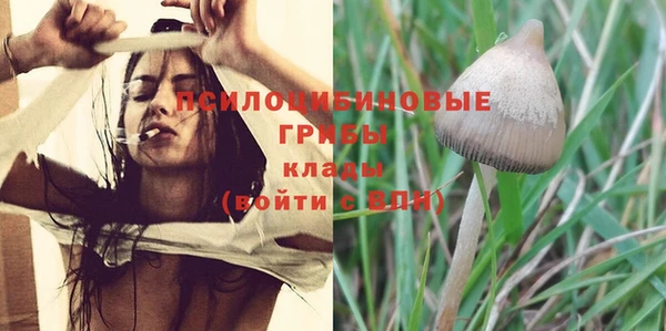 молекула духа Кукмор