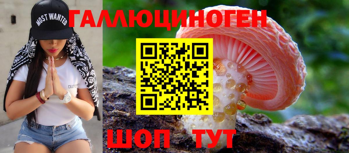 купить закладку  Хабаровск  Псилоцибиновые грибы Magic Shrooms  Галлюциногенные грибы MAGIC MUSHROOMS 