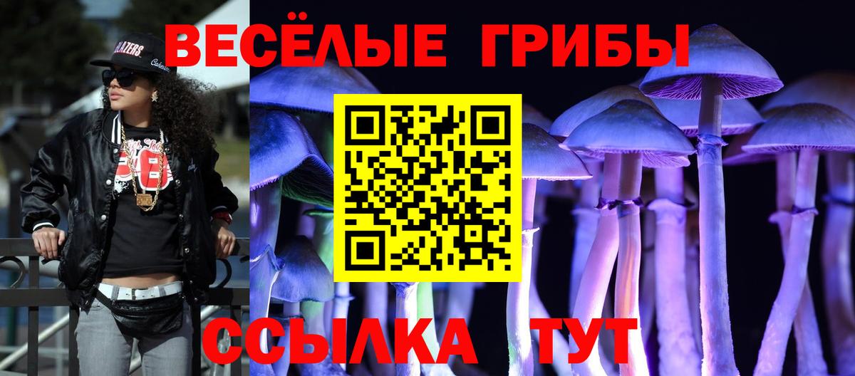 Хабаровск  Псилоцибиновые грибы MAGIC MUSHROOMS  Галлюциногенные грибы Magic Shrooms  Вход с VPN 